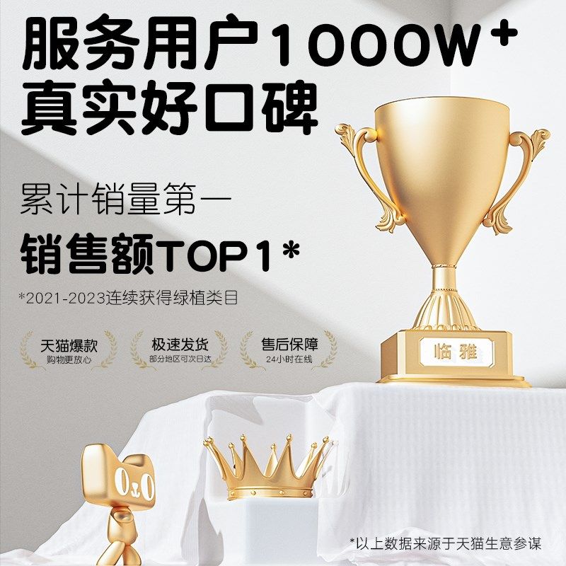 罗汉松盆景名贵老桩小盆栽室内办公室桌面绿植禅意造型植物微景观