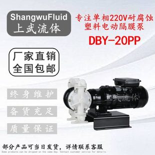 DBY 20S型塑料PP电动双隔膜泵 15S型工程塑料电动隔膜泵