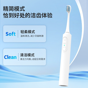shuaboshi电动牙刷S500成人电动牙刷小头家用有效清洁牙渍入门级