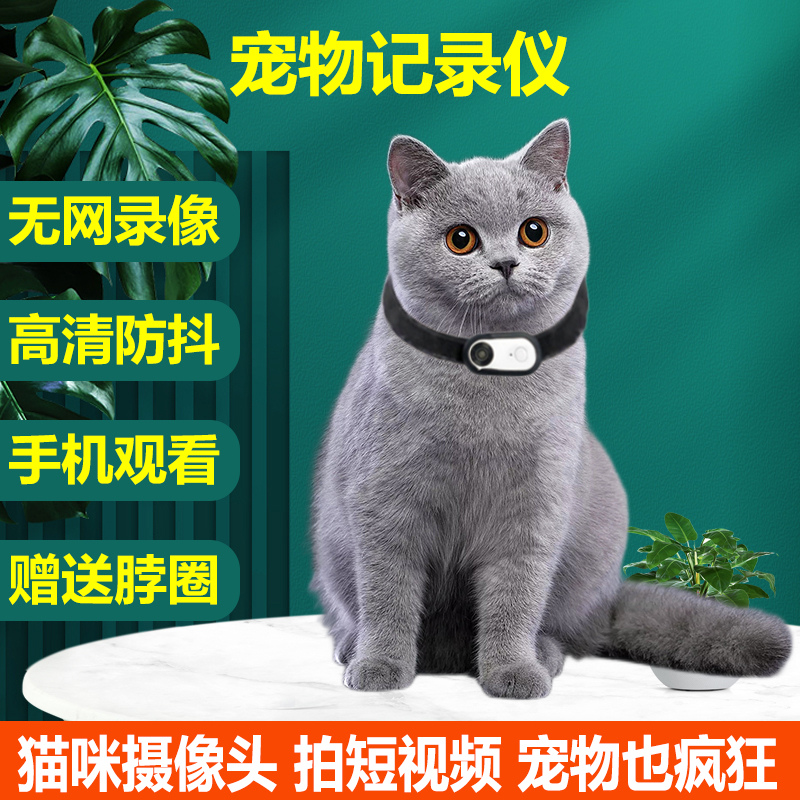 宠物摄像头猫狗视角记录仪录音录影防抖动物运动相机胸前项圈挂颈