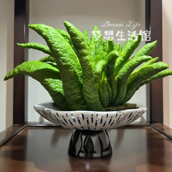 佛手柑托盘器皿养花观赏花盆摆件香橼花器摆放盘容器中式复古花瓶