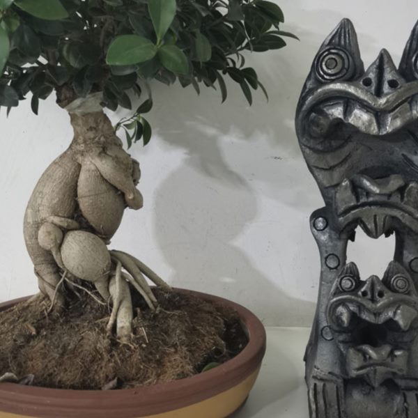 云南剑川土陶黑陶瓦猫室内装饰招财开业送礼家居摆件装饰艺术双头