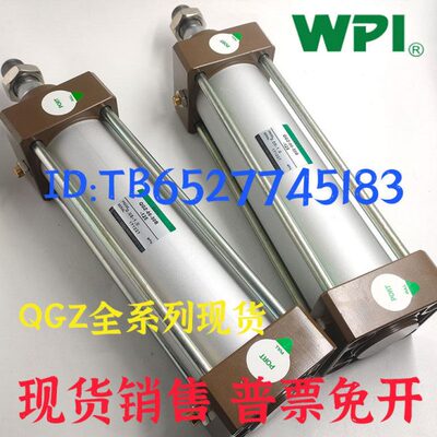 WPI标准气缸QGZ-TC-63B-200-RI-D QGZ-TC-63B-200-KT-05R-01-D-JY
