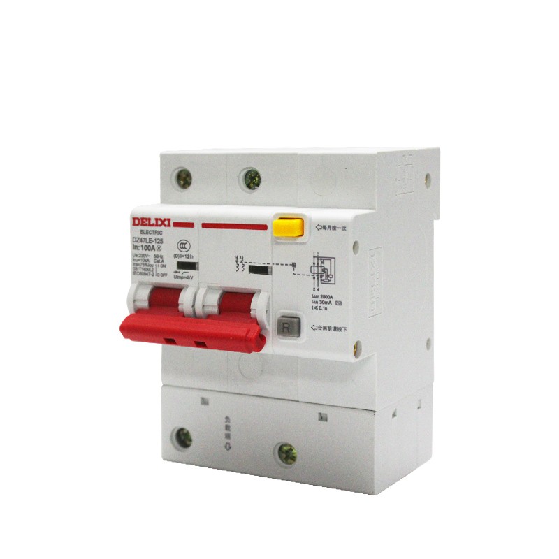德力西空开带漏电保护DZ47LE-125A家用100安2P空气开关断路器漏保