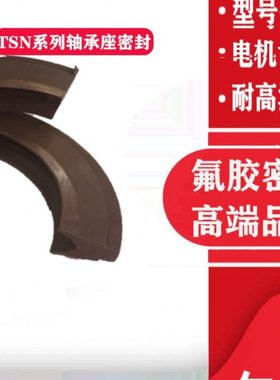 氟胶轴承座密封耐高温 TSN305 306 307 308 309 310 311 312 313G
