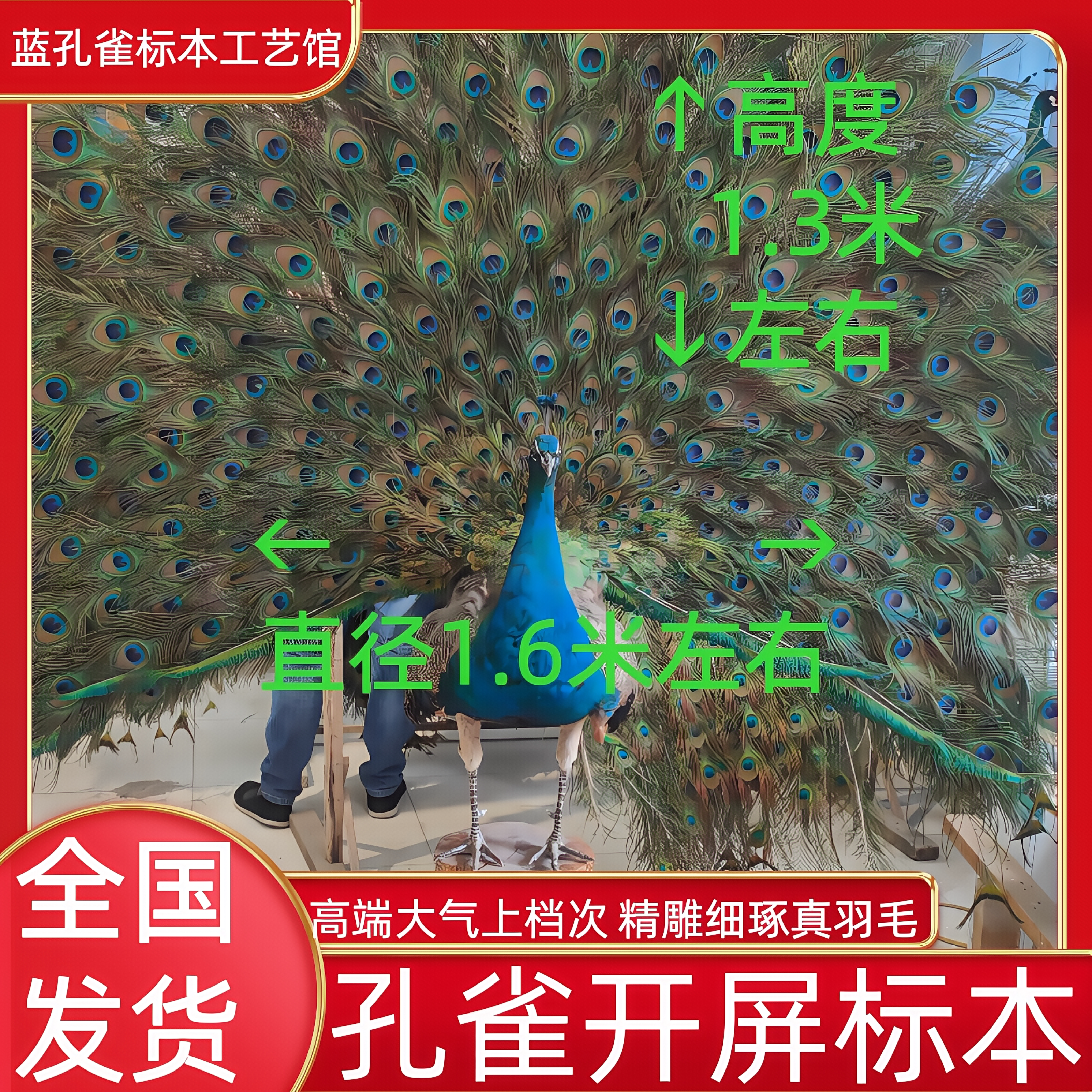 开屏孔雀标本摆件高档装饰豪华家落地摆件