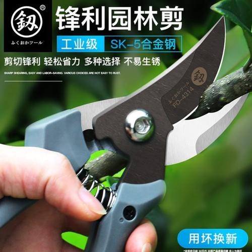 福冈园艺剪刀日本进口专业果树剪家用修枝剪摘果花艺园林剪粗枝剪