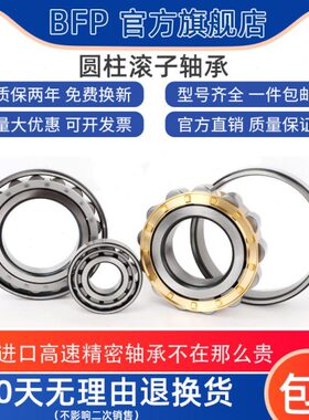 BFP进口圆柱轴承NJ2216/2217/2218/2219/2220/2222/2224 EM P5 P4