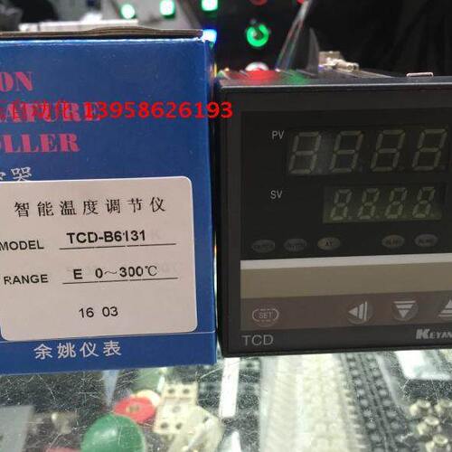 KEYANG科洋仪电 TCD-6000 TCD-B6131 E型 0-300℃ 智能温度调节仪