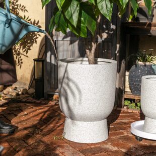 花盆大号大绿植客厅镁泥轻奢高级感非陶瓷家用大花盆花园户外庭院