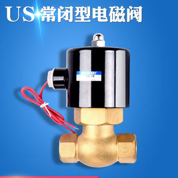 全铜线圈耐高温蒸汽电磁阀2L/US-15 20 25 4分 6分 1寸半2寸 220V