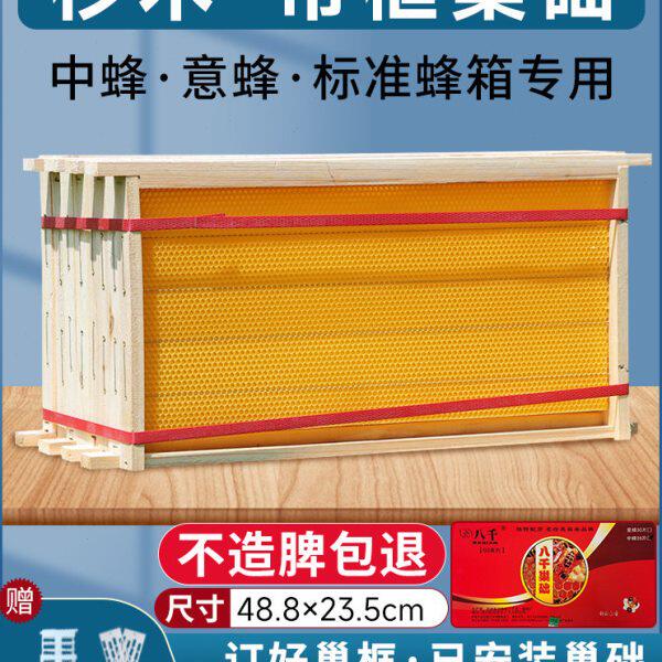 中蜂成品带框巢础杉木意蜂标准成品巢框一体巢脾框架全套养蜂工具