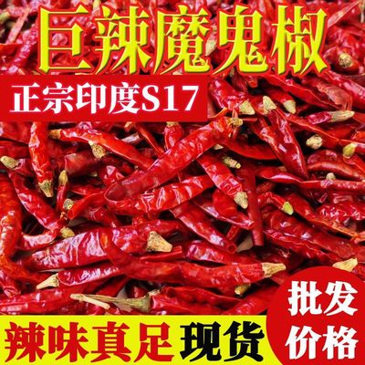 印度进口魔鬼辣椒S17巨辣变态辣