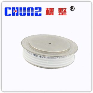 椿整 普通整流管 凸型 平板式 二极管晶闸管 ZP2500A