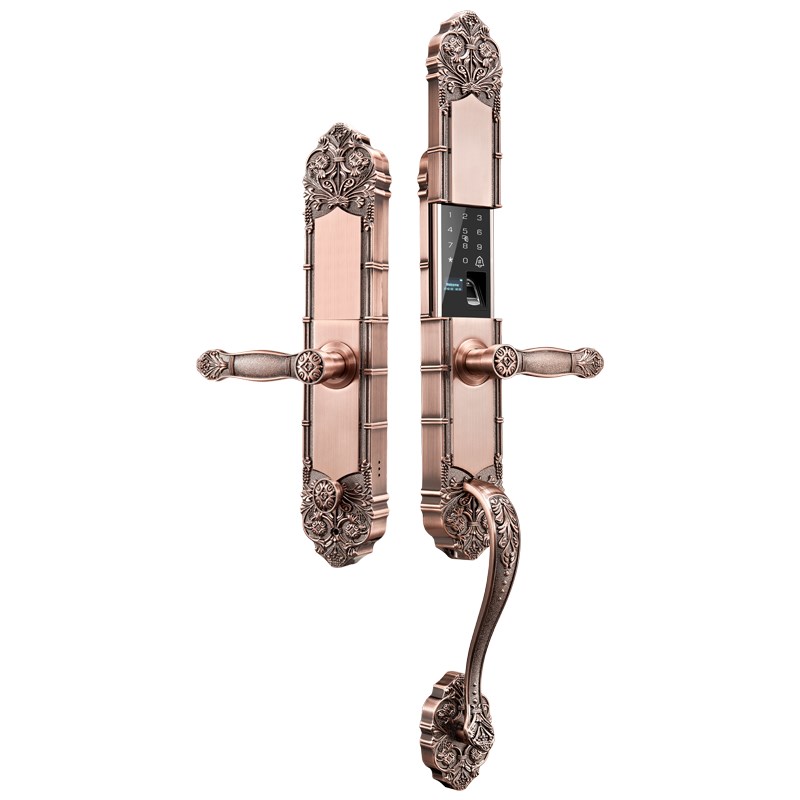 ENS指纹锁高端别墅双开门电子锁欧式复古M大门锁智能锁指纹密码锁