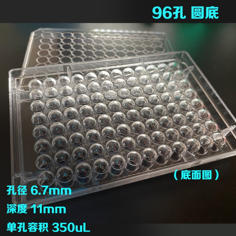 96孔板带盖细胞培养酶标板稀释板平底U底VF底 12 24 48孔 整箱折