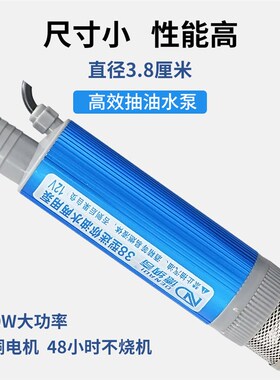 电动抽油泵柴油12v24v22w0v小型自吸潜水泵迷你型大功率油水两用