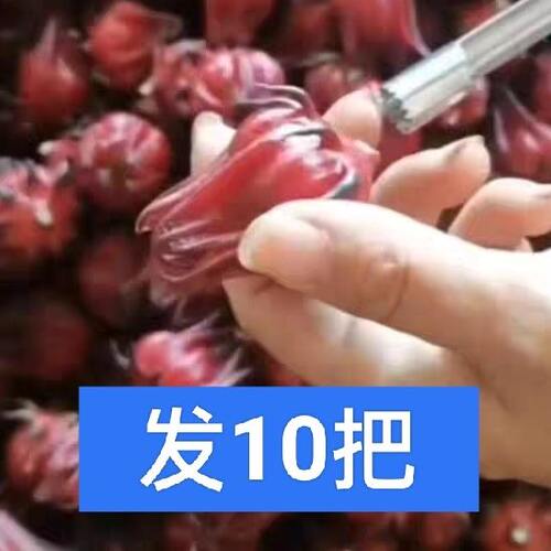 洛神花去核器红枣去籽器红桃K玫瑰茄去核神器山楂去除芯籽核工具