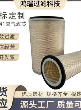 供应挖掘机K2841空气滤芯6125-81-7032鸿瑞P181173   1142150460