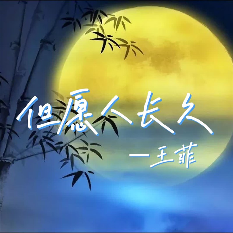 但愿人长久 扒谱服务 萨克斯谱 单D簧管 长笛谱 小号 小提琴 伴奏