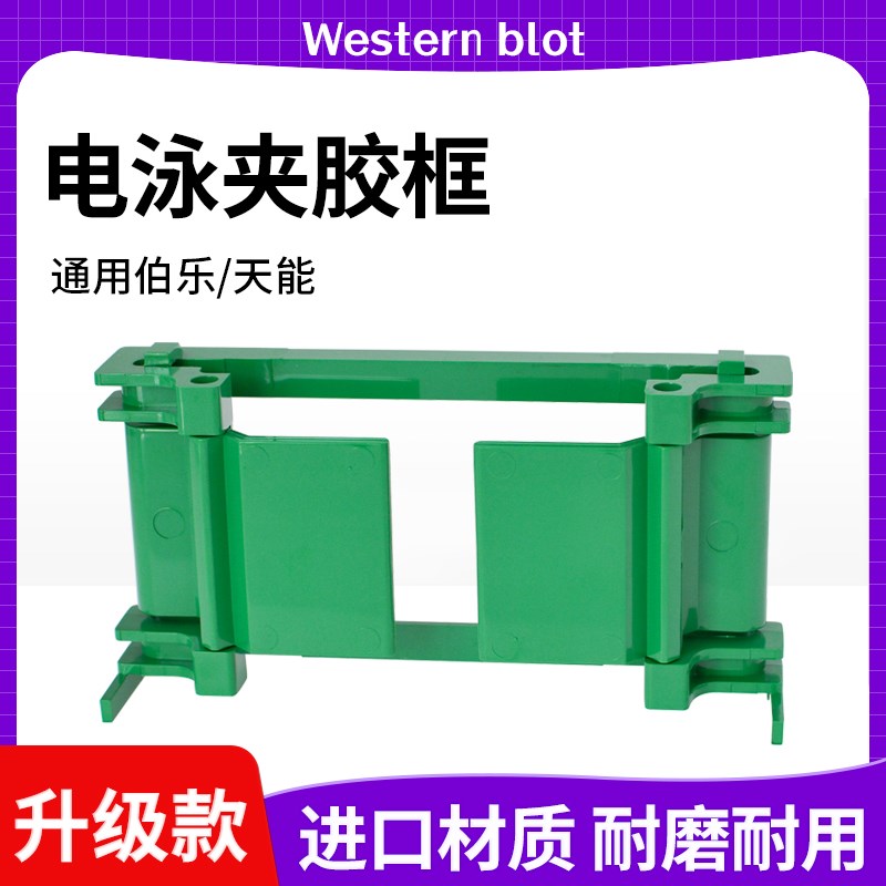 国产wb制胶架夹胶框western blot电泳制胶框制胶支架通Z用伯乐天