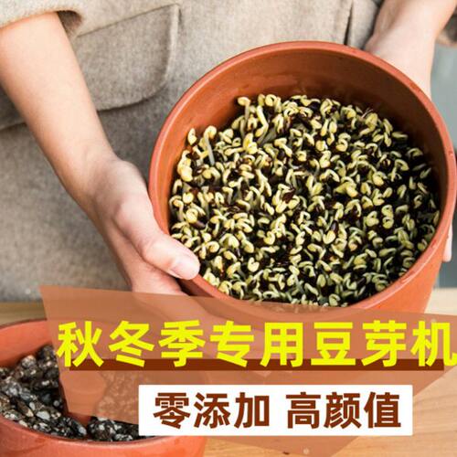 紫砂豆芽机家用全自动豆芽罐家用生豆芽机发花生芽菜机陶瓷豆芽罐