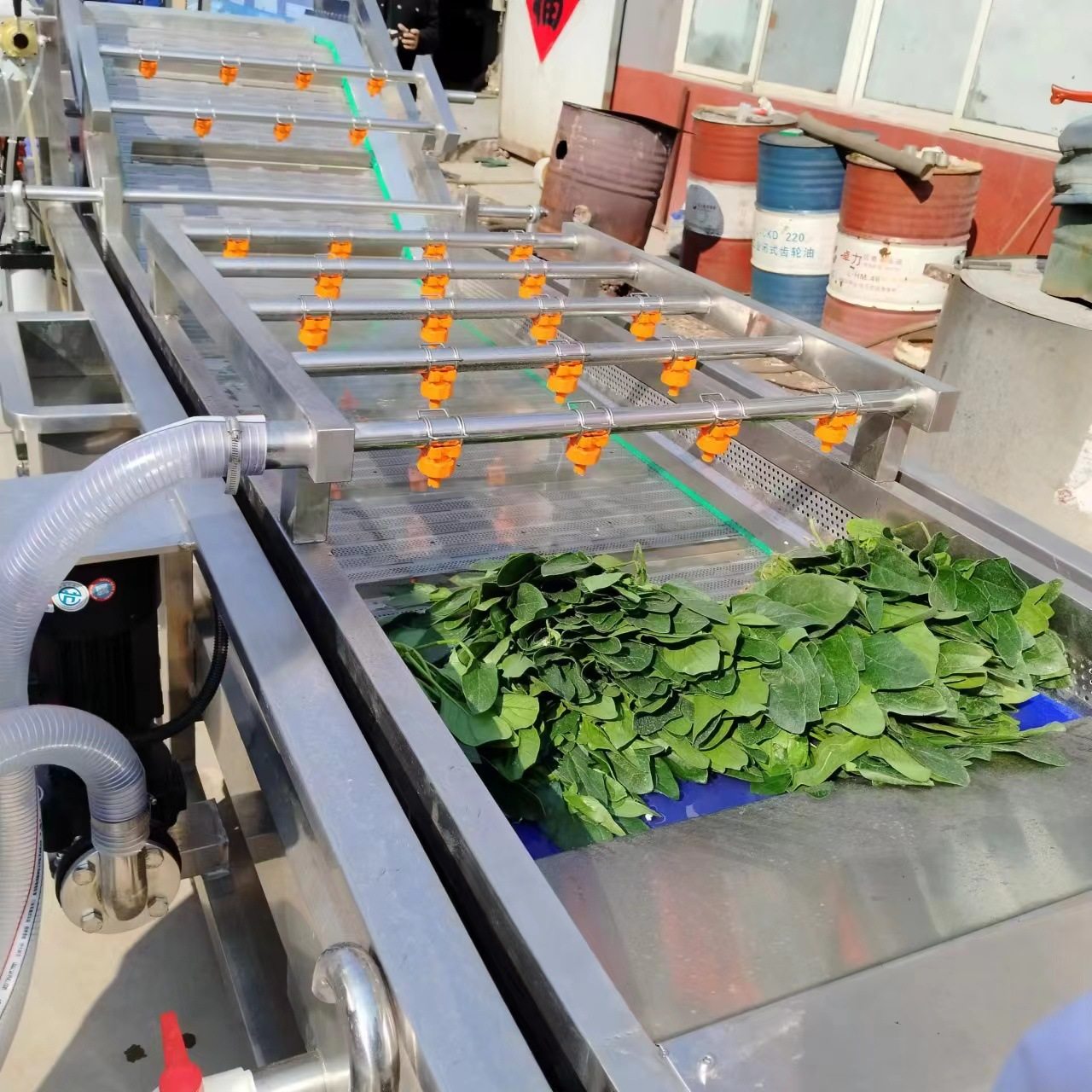 油菜菠菜香菇气泡清洗机杨梅大枣清洗设备预制菜预处理清洗线,清洗/食品/商业设备,洗果机/洗菜机,淘宝优惠券,粉丝福利购,淘宝优惠卷