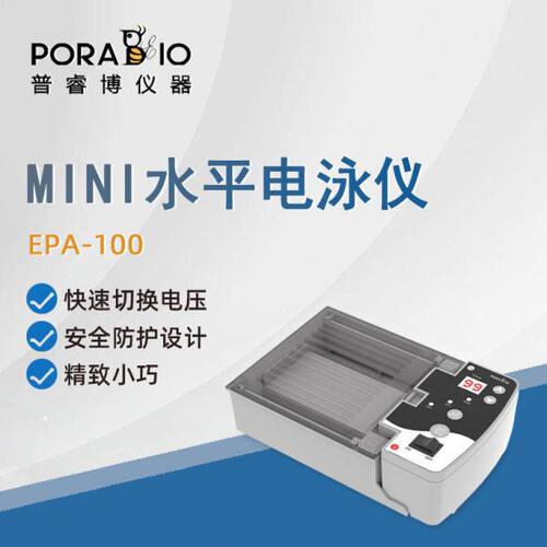 普睿博水平电泳仪EPA-100实验室数显定时电泳槽电源二合一电泳仪