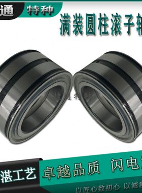 SL满装滚子重载轴承 NNF5004/5005/5006/5007/5008/5009ADA-2LSV