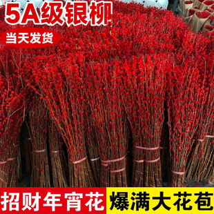 银柳真花鲜枝干花卉绿植摆件室内客厅过新年红色年宵花束装饰永生