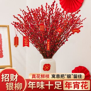 银柳真花鲜枝干花摆件室内客厅鲜花绿植新年年宵花卉植物过年春节