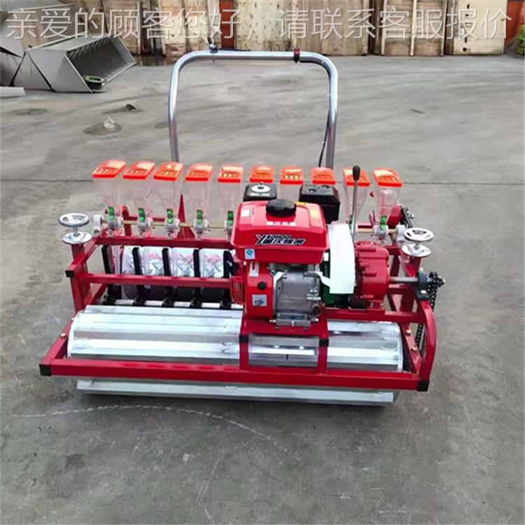 葱小青菜手推蔬菜HIN根播种种机柴胡板蓝种植机大棚菜洋育苗点播