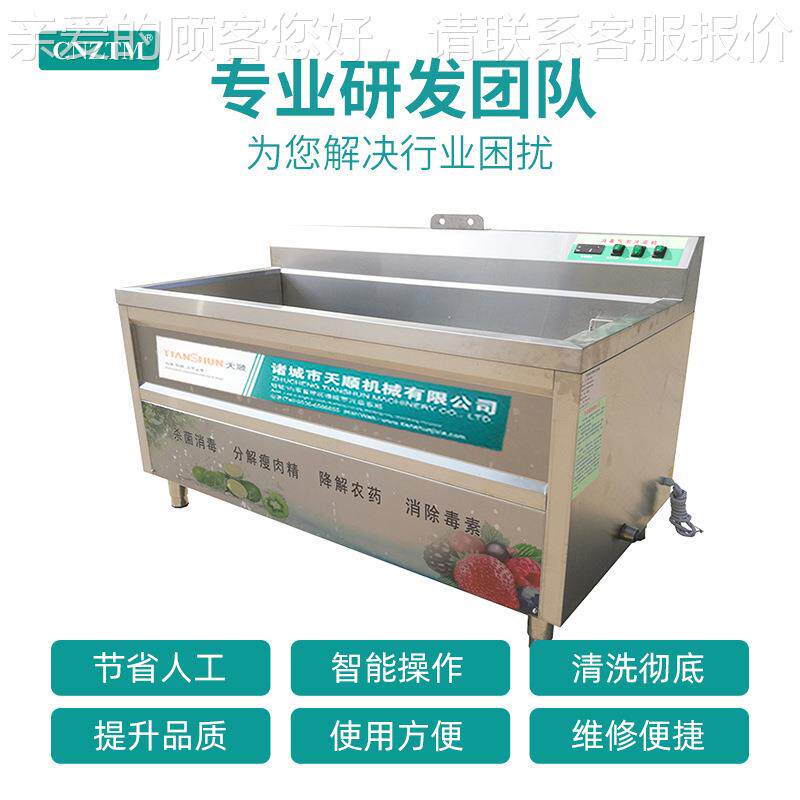 新蔬TSXQ-12能菜清洗机多功清洗机、果蔬清洗消机、毒式清洗机、