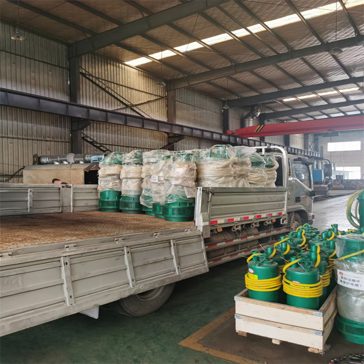 BQS20-65-11/N潜水泵 F级绝缘 纯铜电机 BQS防爆潜水泵