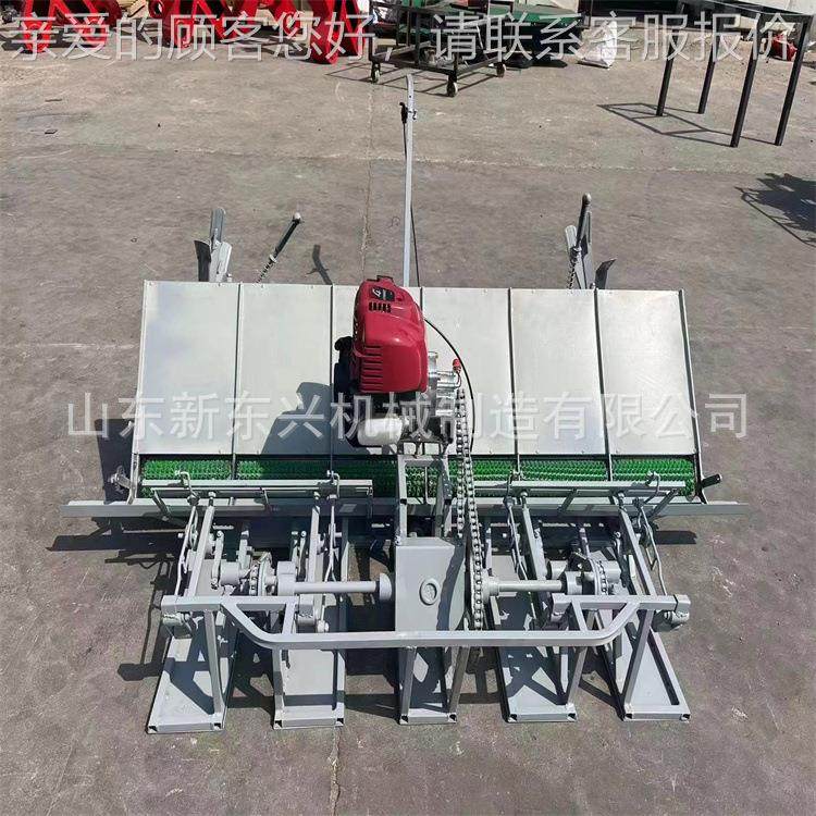 水盘稻插秧机 小型手扶式六行RAR使用七寸苗出种植机品口质