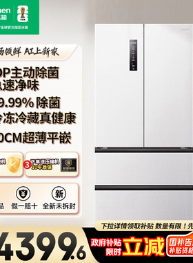 容声517L双净法式四门超薄零嵌入式家用大容量电冰箱