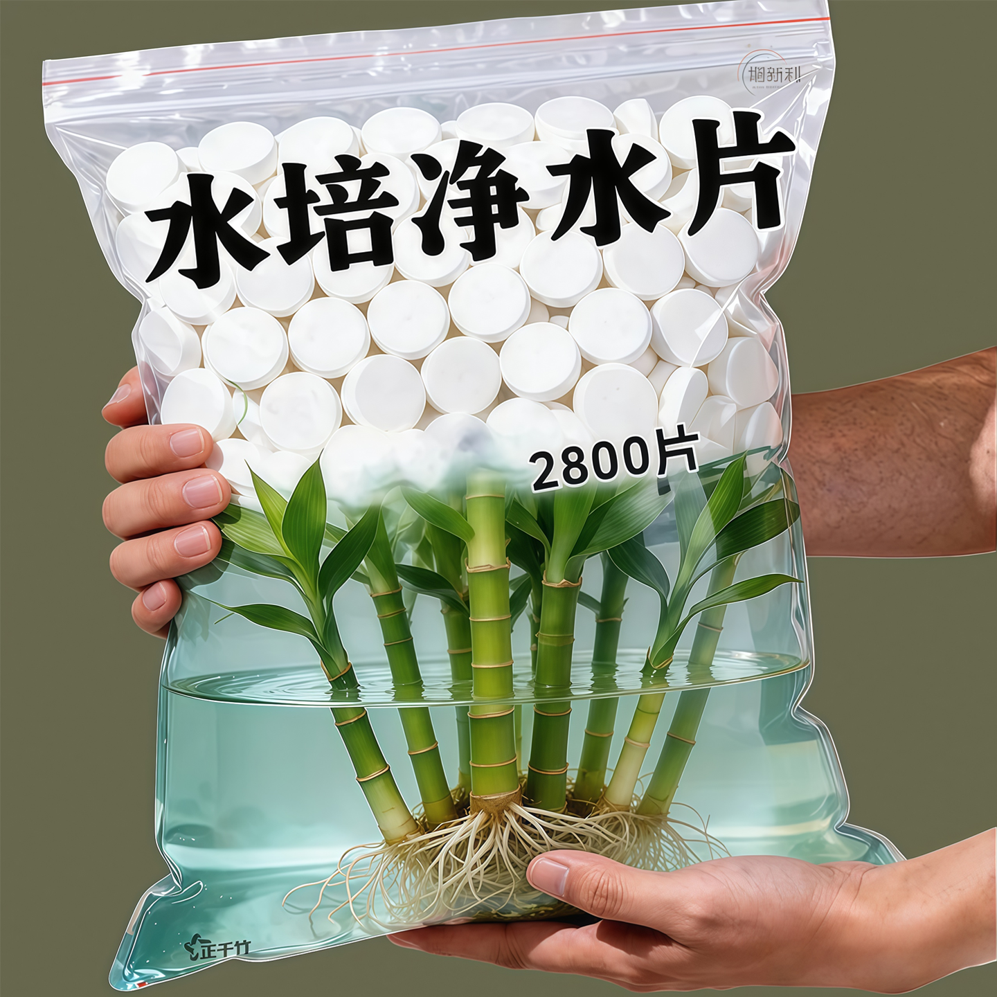 净水片养护室内各类水培花卉盆栽