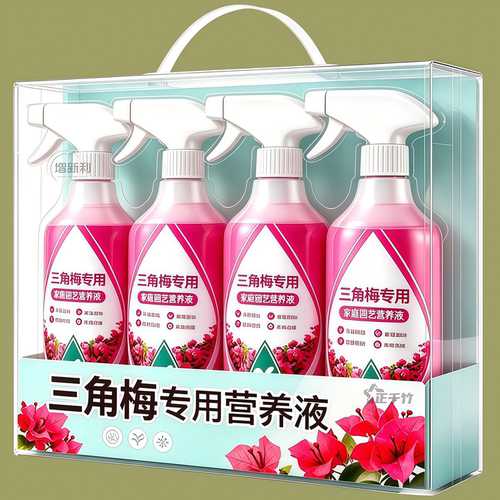 免稀释【三角梅开花了】枝繁花茂