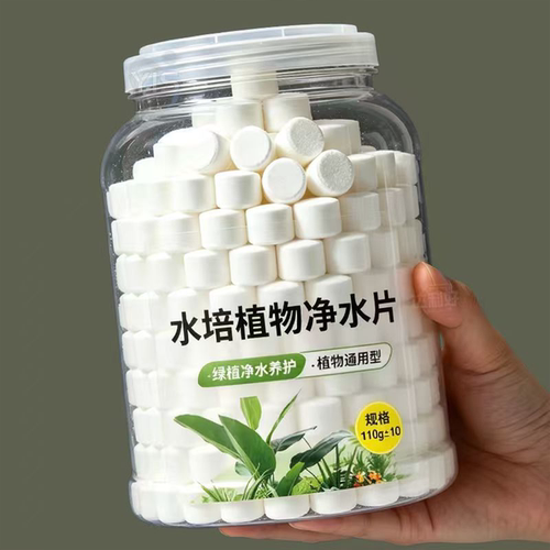 水培植物净水片除臭杀菌消毒鲜花花卉保鲜剂碗莲除藻专用净化水质