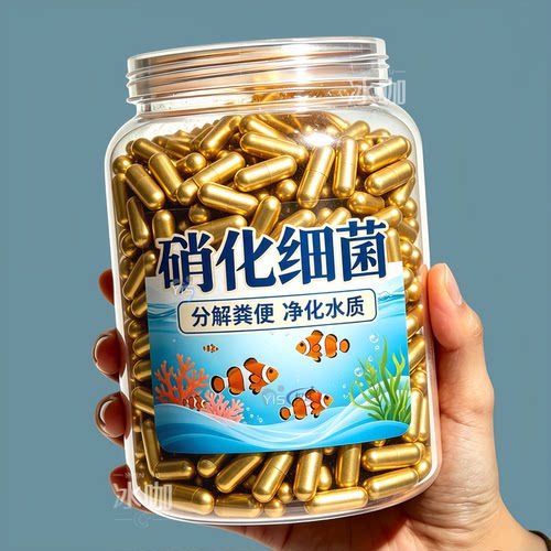 鱼缸硝化细菌胶囊建立菌群水质