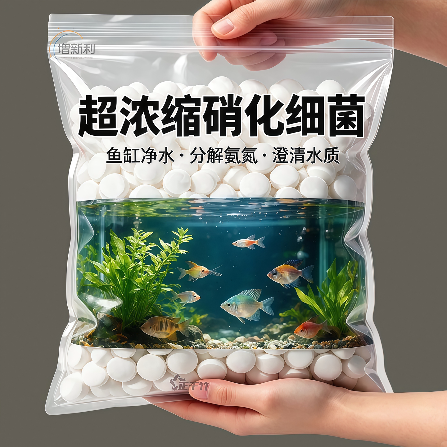 德国专研【硝化细菌】养鱼免换水
