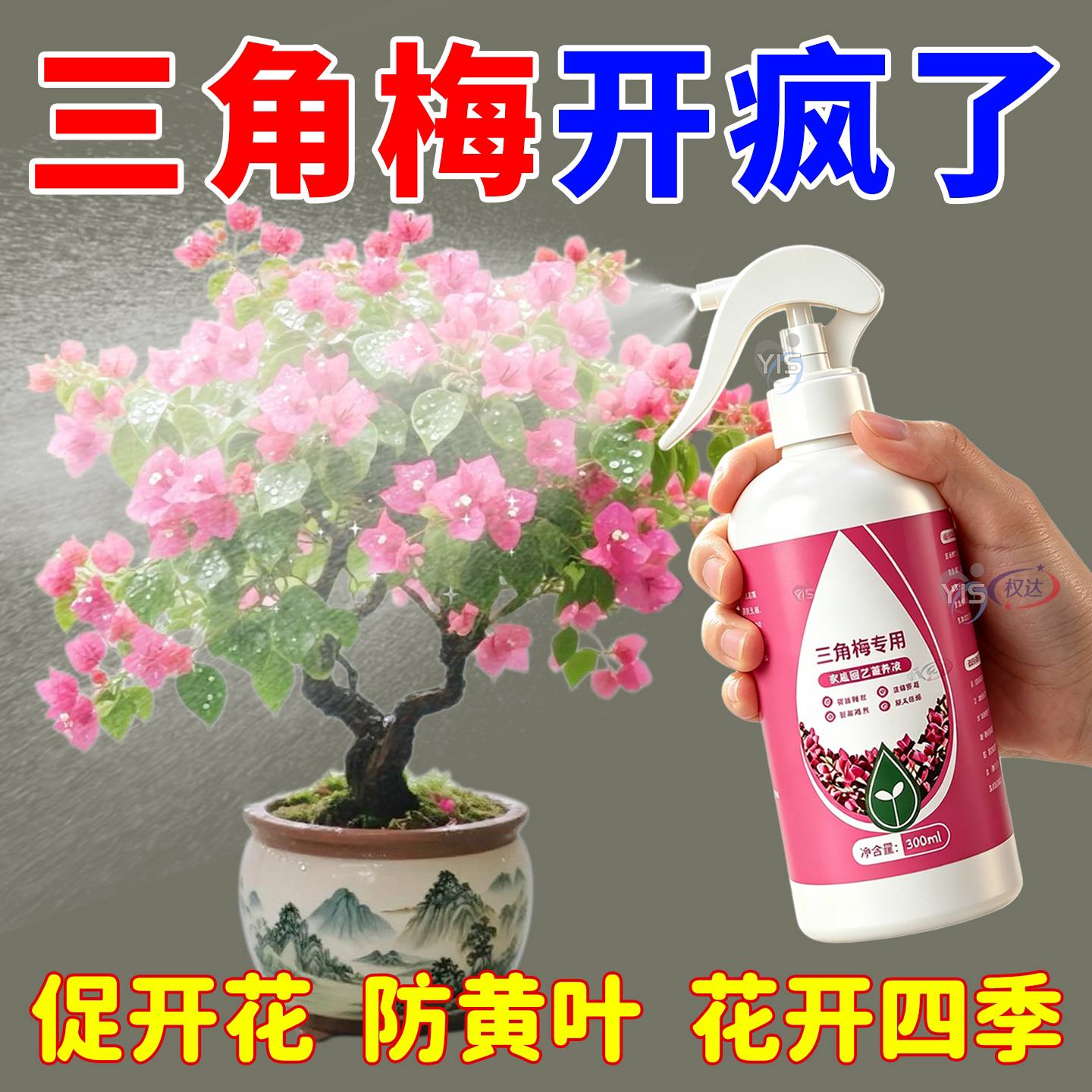 三角梅开花专用营养液肥促花爆花骨粉复合肥料养花枝繁叶茂促开花