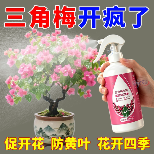 三角梅开花专用营养液肥促花爆花骨粉复合肥料养花枝繁叶茂促开花