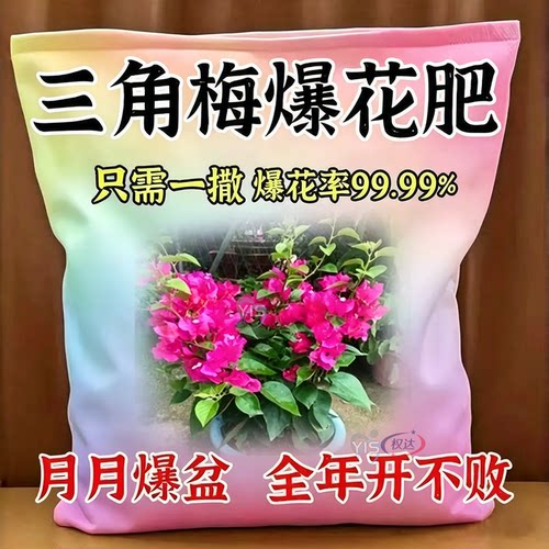 促花通用粉四季盆栽补营养促绽放