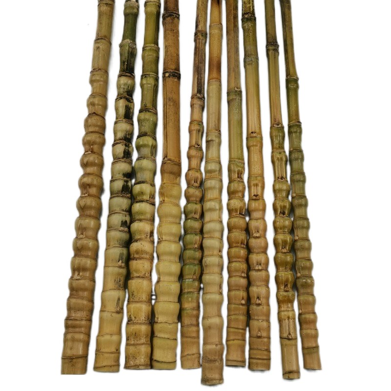 罗汉竹手把件抄网手仗q把件佛肚竹手把材料文玩龟甲竹罗汉竹手把