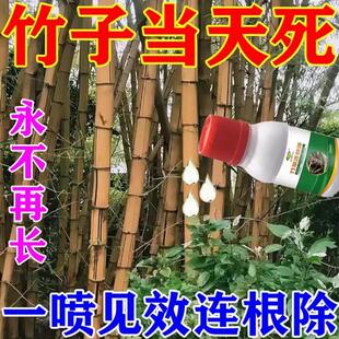灭竹子的药竹根连根烂强力去竹粉清竹子灌木腐蚀竹根树竹草根绝