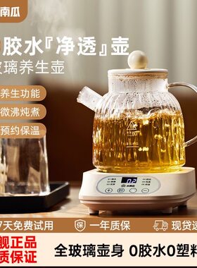 小南瓜全玻璃养生壶养生煮茶壶小型多功能家用