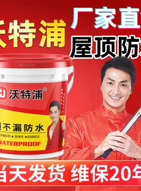 沃特浦防水补漏材料屋顶专用涂料房顶楼顶裂缝漏水补漏王防漏胶水