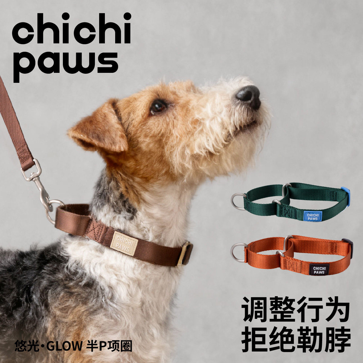 chichipaws狗狗半p链项圈时尚牵引绳防勒脖圈狗链遛狗绳中小型犬
