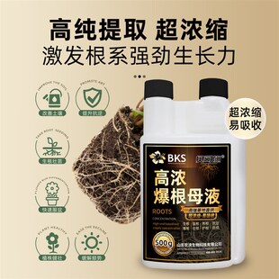 贝可施高浓爆根母液快速生根粉爆根发根壮根扦插用生根原液500g装